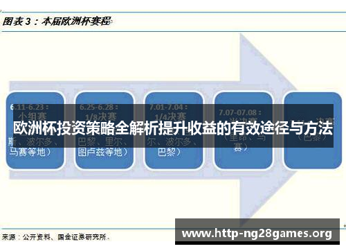 欧洲杯投资策略全解析提升收益的有效途径与方法