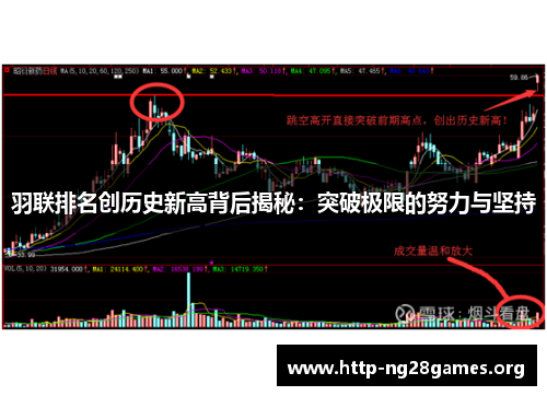 羽联排名创历史新高背后揭秘：突破极限的努力与坚持